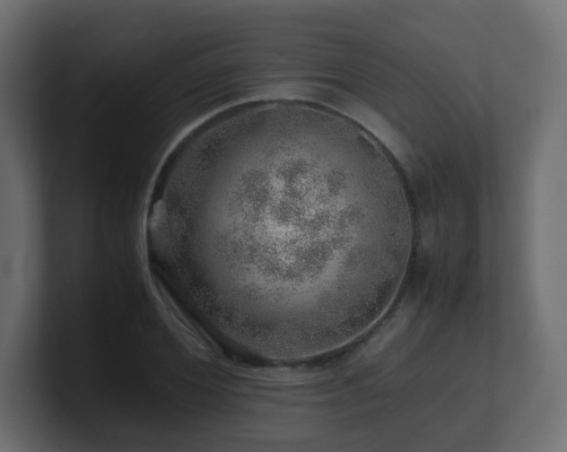 X0000101100980200806261508
