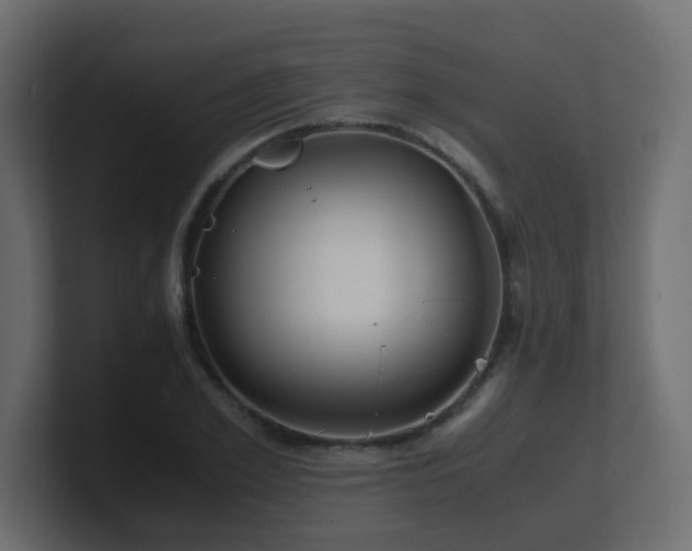 X0000101100981200806261508