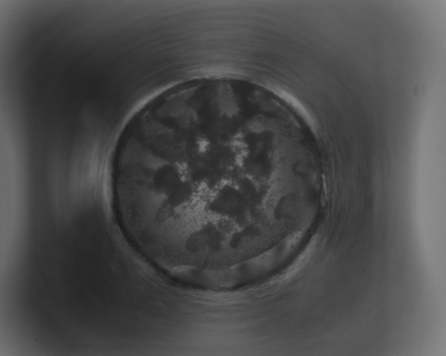 X0000101100983200806261508
