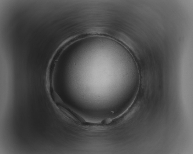 X0000101100984200806261508