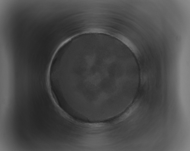 X0000101100988200806261508