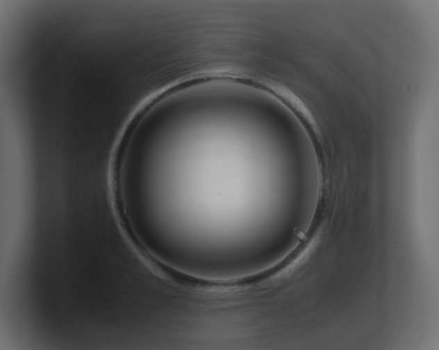 X0000101100989200806261508