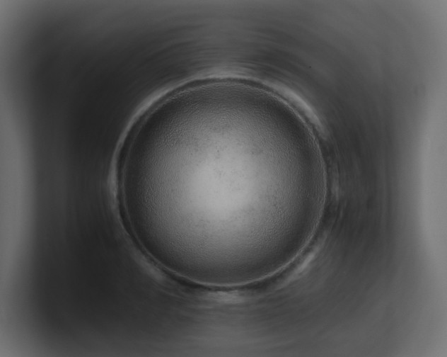 X0000101100990200806261508