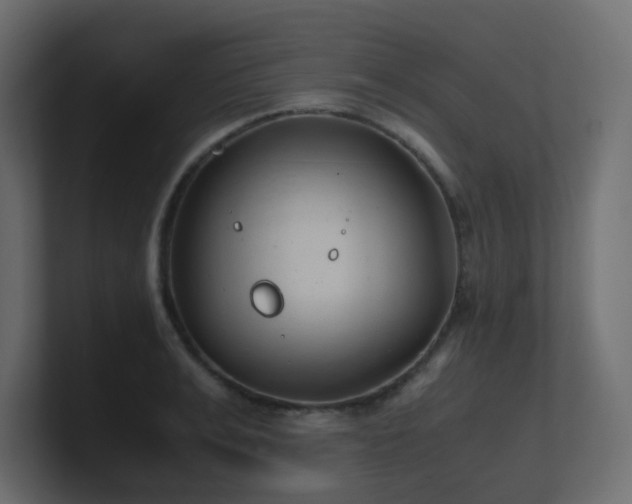 X0000101100991200806261508