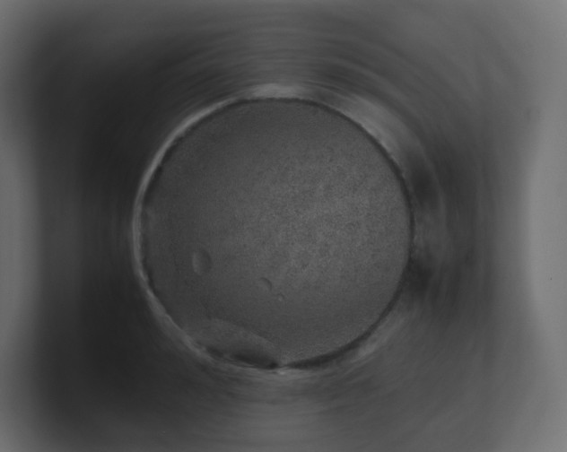 X0000101100992200806261508