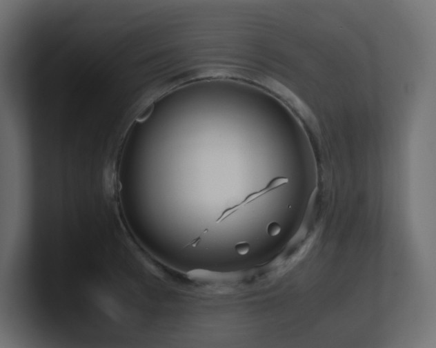 X0000101100993200806261508
