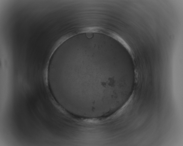 X0000101100994200806261508