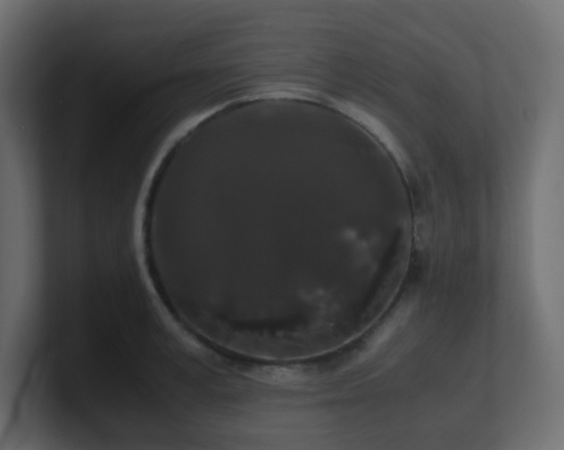 X0000101100995200806261508