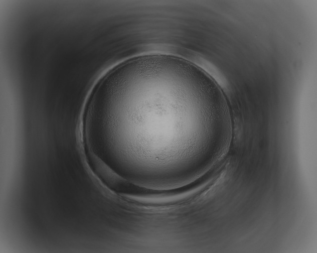 X0000101100996200806261508