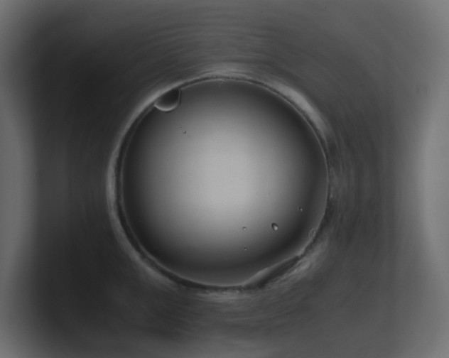 X0000101100999200806261508