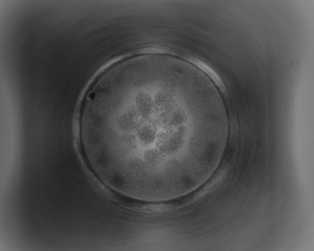 X0000101101000200806261508