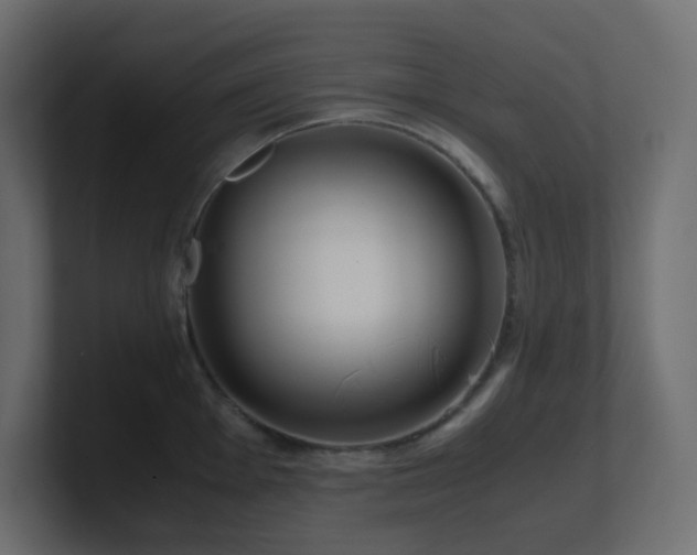 X0000101101001200806261508