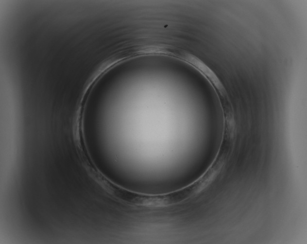X0000101101002200806261508