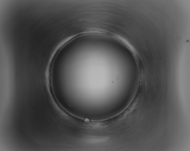 X0000101101003200806261508