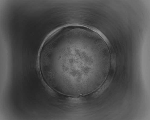 X0000101101004200806261508