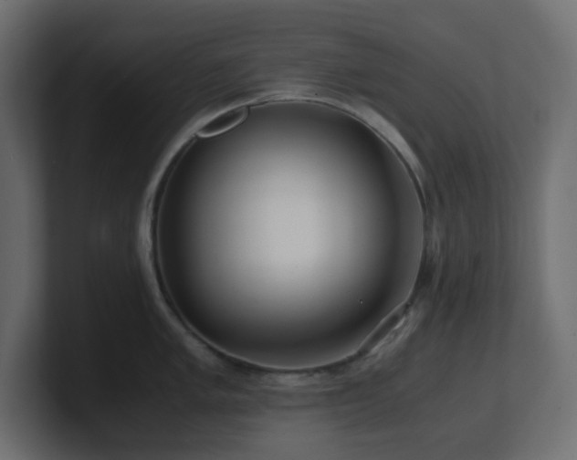 X0000101101005200806261508
