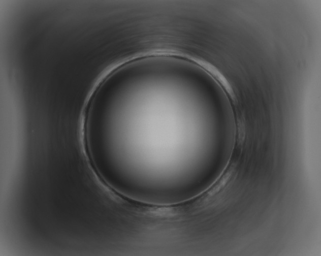 X0000101101006200806261508