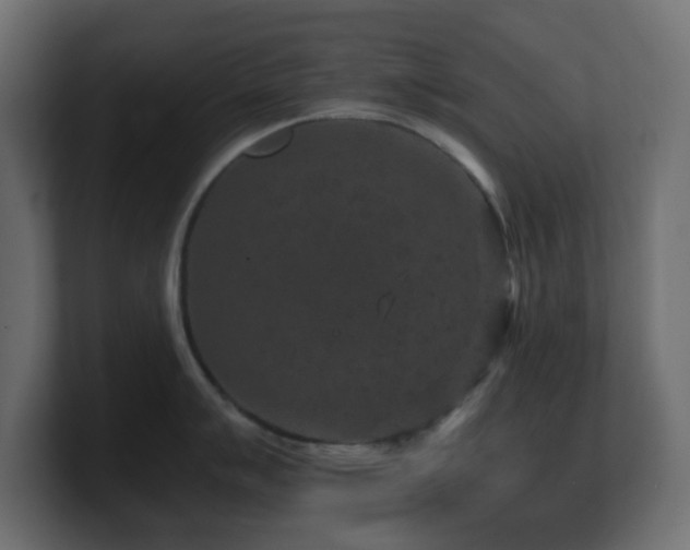 X0000101101007200806261508