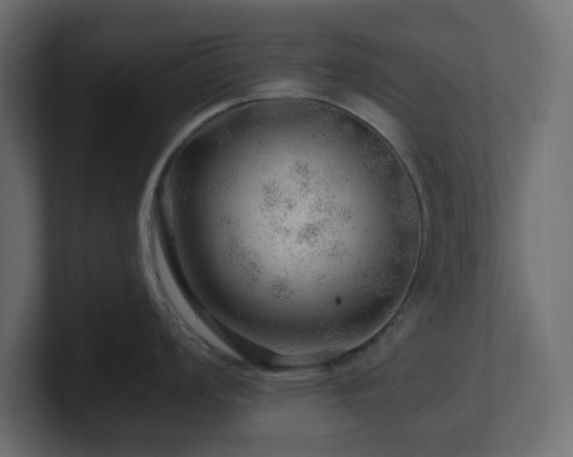 X0000101101008200806261508