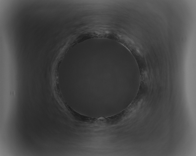 X0000101101009200806261507