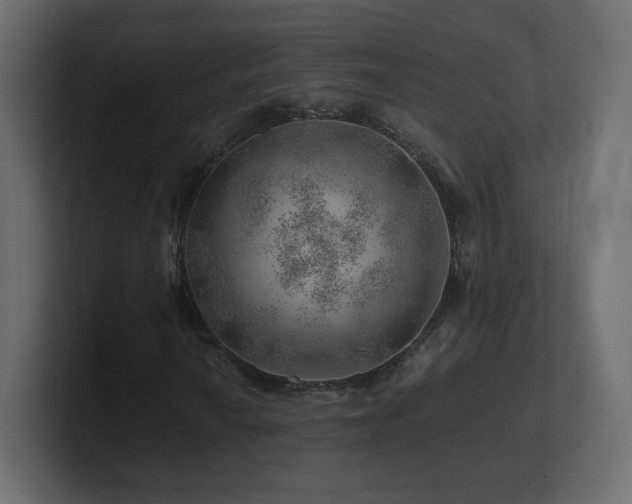 X0000101101010200806261507