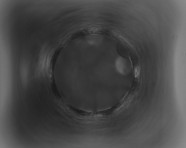 X0000101101011200806261507
