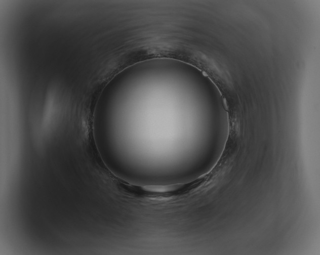 X0000101101012200806261507