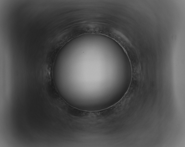 X0000101101013200806261507