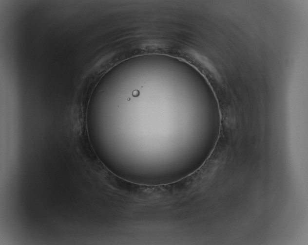 X0000101101015200806261507