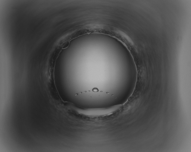 X0000101101016200806261508