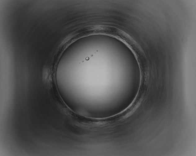 X0000101101017200806261508