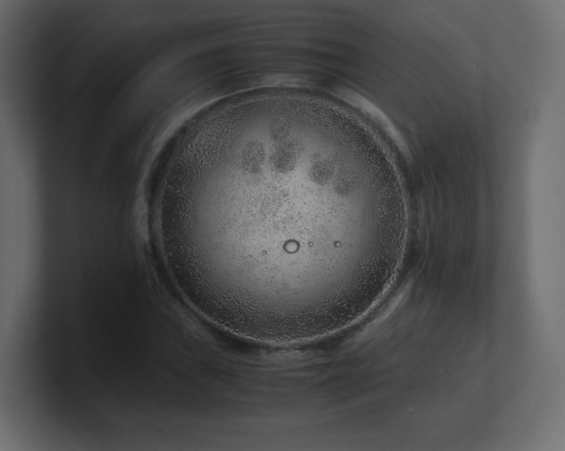 X0000101101019200806261508