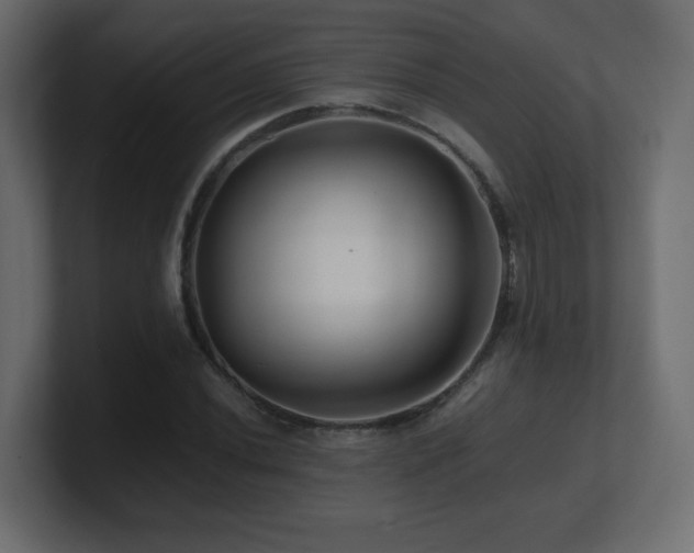 X0000101101020200806261508