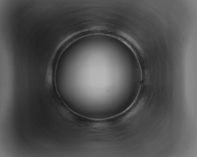 X0000101101021200806261508