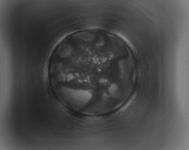 X0000101101023200806261508