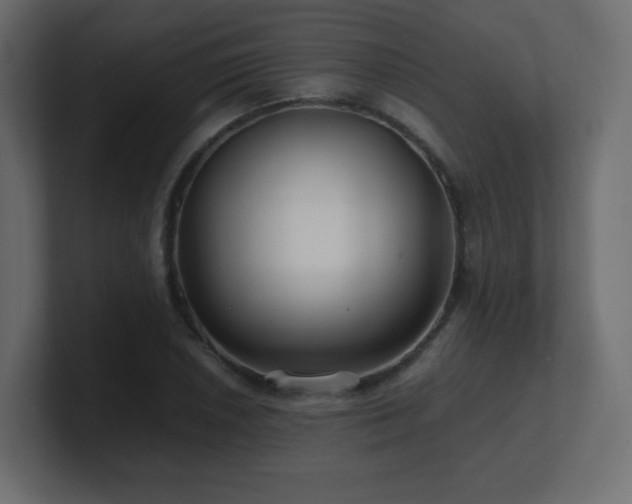 X0000101101026200806261508