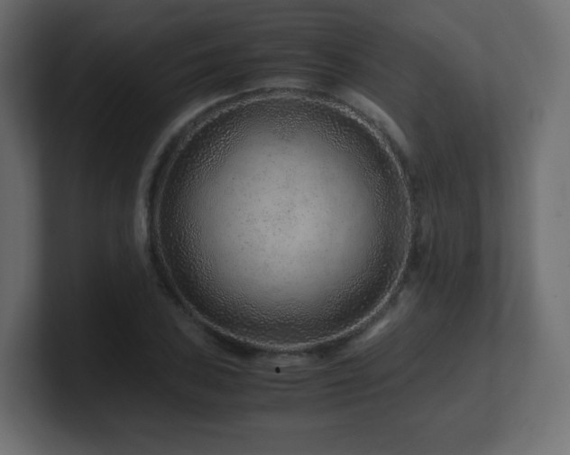 X0000101101027200806261508