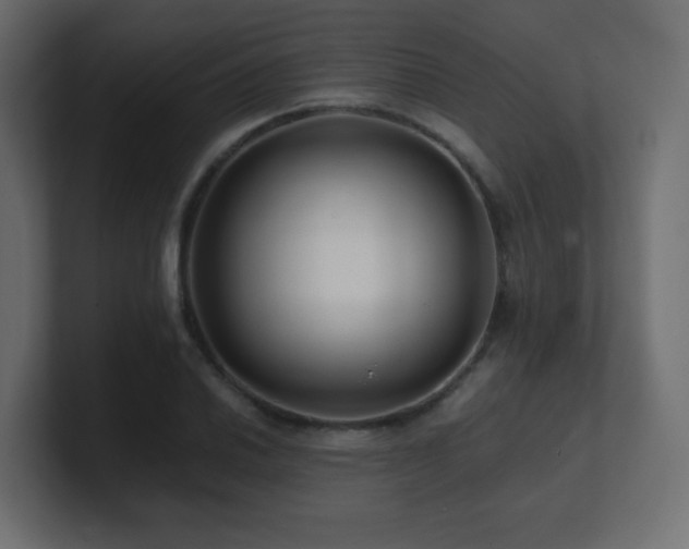 X0000101101030200806261508