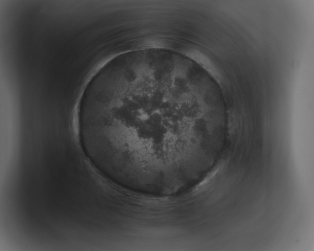 X0000101101031200806261508