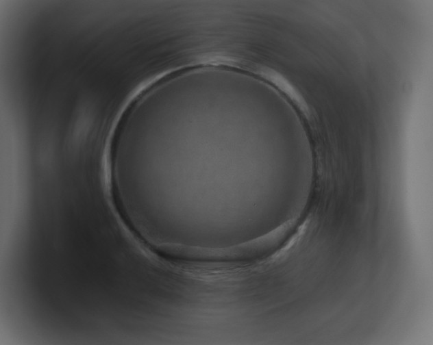 X0000101101032200806261508