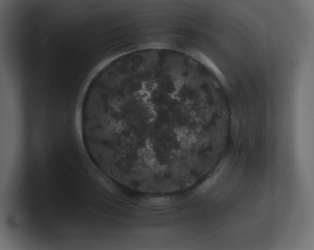 X0000101101035200806261508
