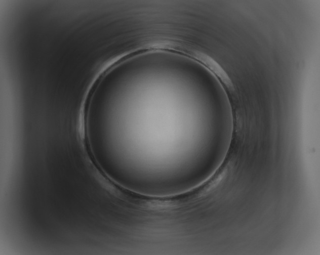 X0000101101036200806261508