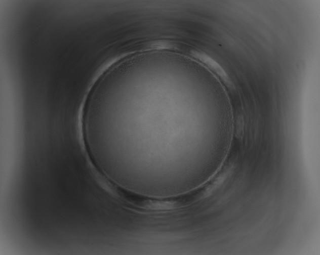 X0000101101039200806261508