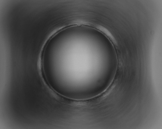 X0000101101040200806261508