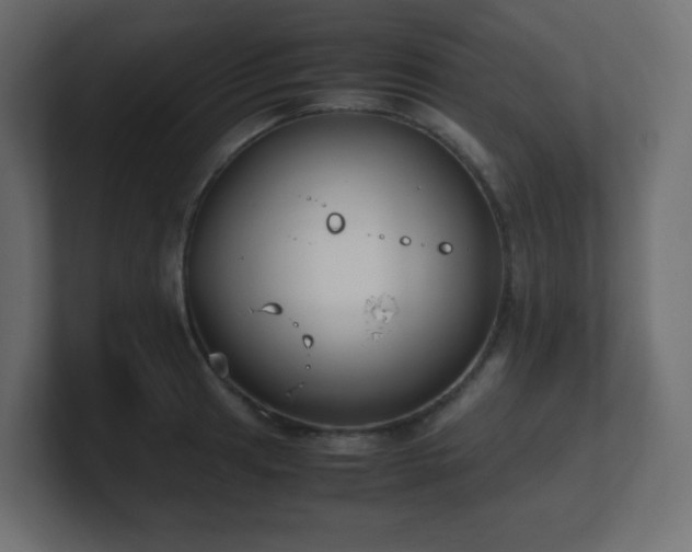 X0000101101041200806261508