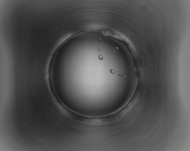 X0000101101042200806261508