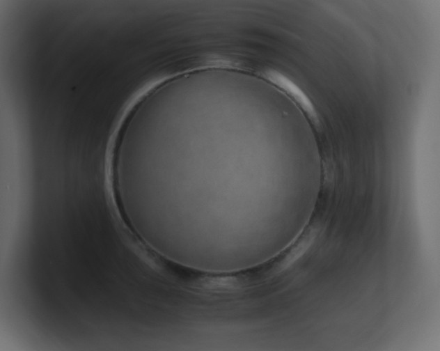 X0000101101043200806261508