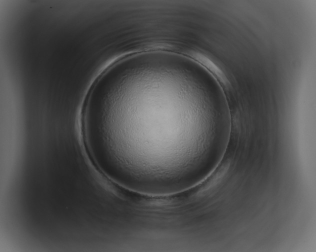 X0000101101047200806261508