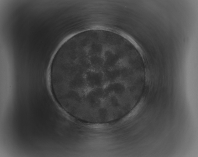 X0000101101048200806261508