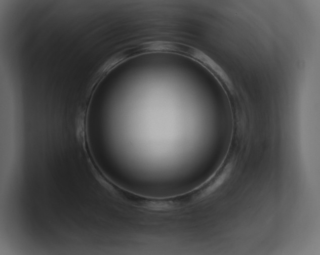 X0000101101049200806261508